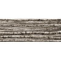 BIRCH dekoračný sklenený obklad  4-Elementový 239,8x89,8