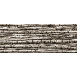 BIRCH dekoračný sklenený obklad  4-Elementový 239,8x89,8