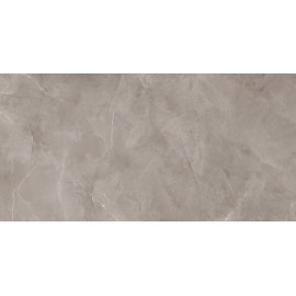 HARMONIC GREY POL 239,8x119,8