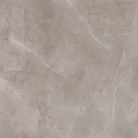 HARMONIC GREY POL 79,8x79,8