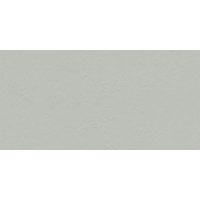 INDUSTRIO GREY 119,8x59,8