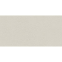 INDUSTRIO LIGHT GREY 119,8x59,8