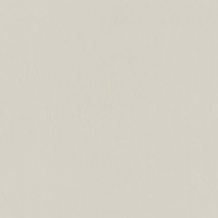 INDUSTRIO LIGHT GREY 79,8x79,8