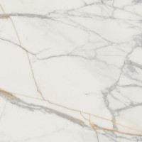 MARMO D'ORO POL 119,8x119,8
