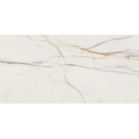MARMO D'ORO POL 119,8x59,8