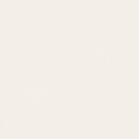 MY TONES WHITE MAT 59,8x59,8