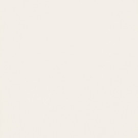 MY TONES WHITE MAT 59,8x59,8