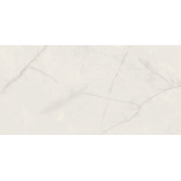 ONIX PEARL POL 119,8x59,8