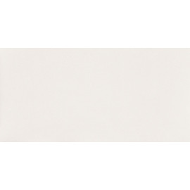 REFLECTION WHITE obklad 59,8x29,8