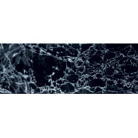 Sklenený dekor SOPHISTICATED BLACK 89,8x32,8cm