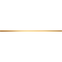 STEEL GOLD 4 obkladová lišta 74,8x1,5