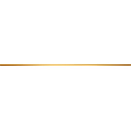 STEEL GOLD 4 obkladová lišta 74,8x1,5