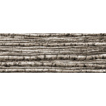 BIRCH dekoračný sklenený obklad  4-Elementový 239,8x89,8 BIRCH dekoračný sklenený obklad  4-Elementový 239,8x89,8