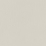 INDUSTRIO LIGHT GREY 79,8x79,8