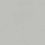 INDUSTRIO GREY 119,8x119,8