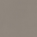 INDUSTRIO BROWN 119,8x119,8