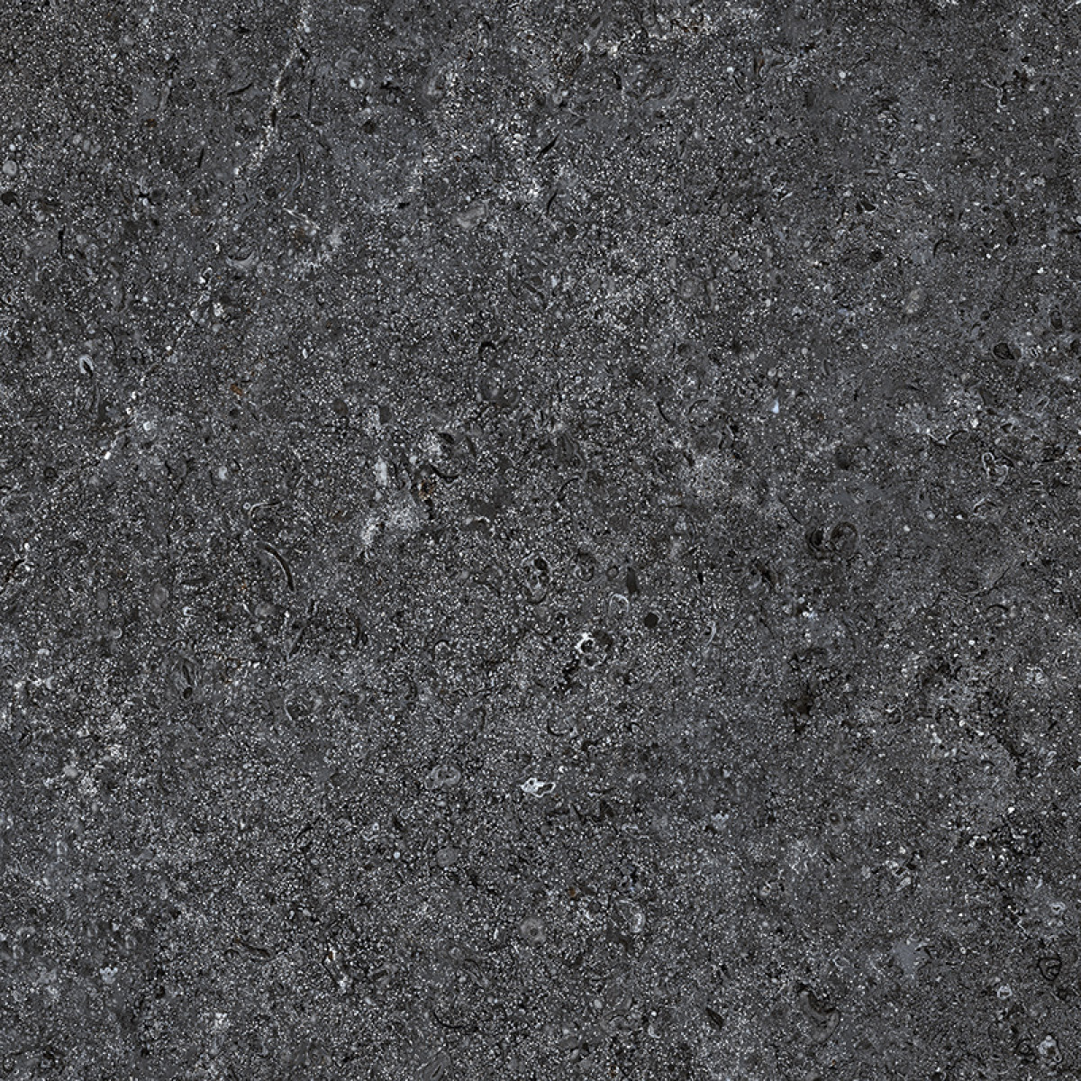 ZIMBA GREY STR 59,8x59,8 ZIMBA GREY STR 59,8x59,8