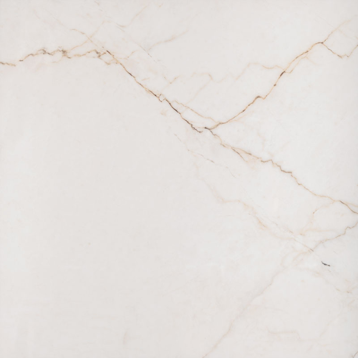 LIBERTE IVORY POL 59,8x59,8 LIBERTE IVORY POL 59,8x59,8