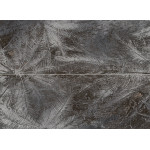 SEDONA PALMS dekoračný obklad 89,8x65,8